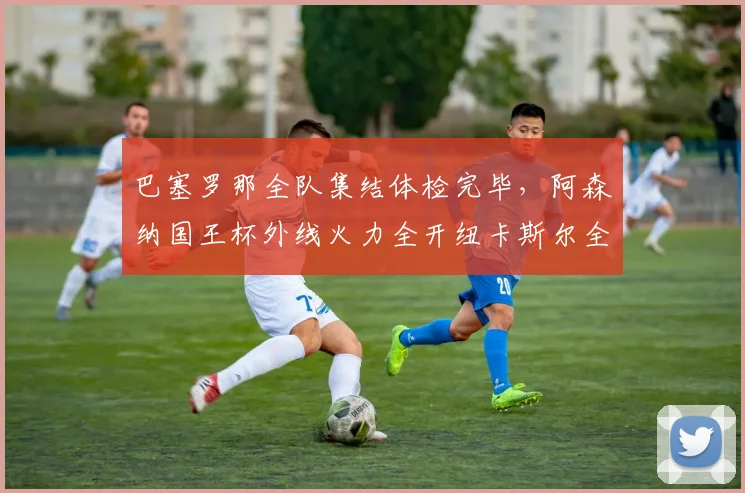 MK体育入口 赛事深度报道